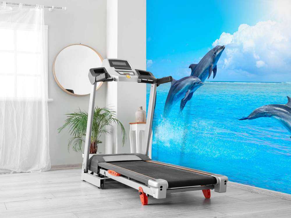 Dolphins in the ocean