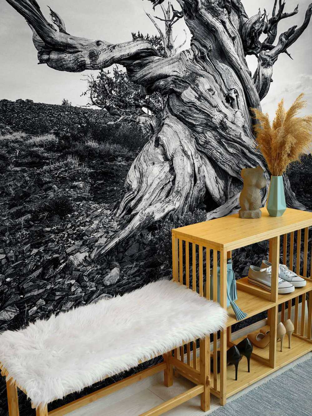 Methuselah tree