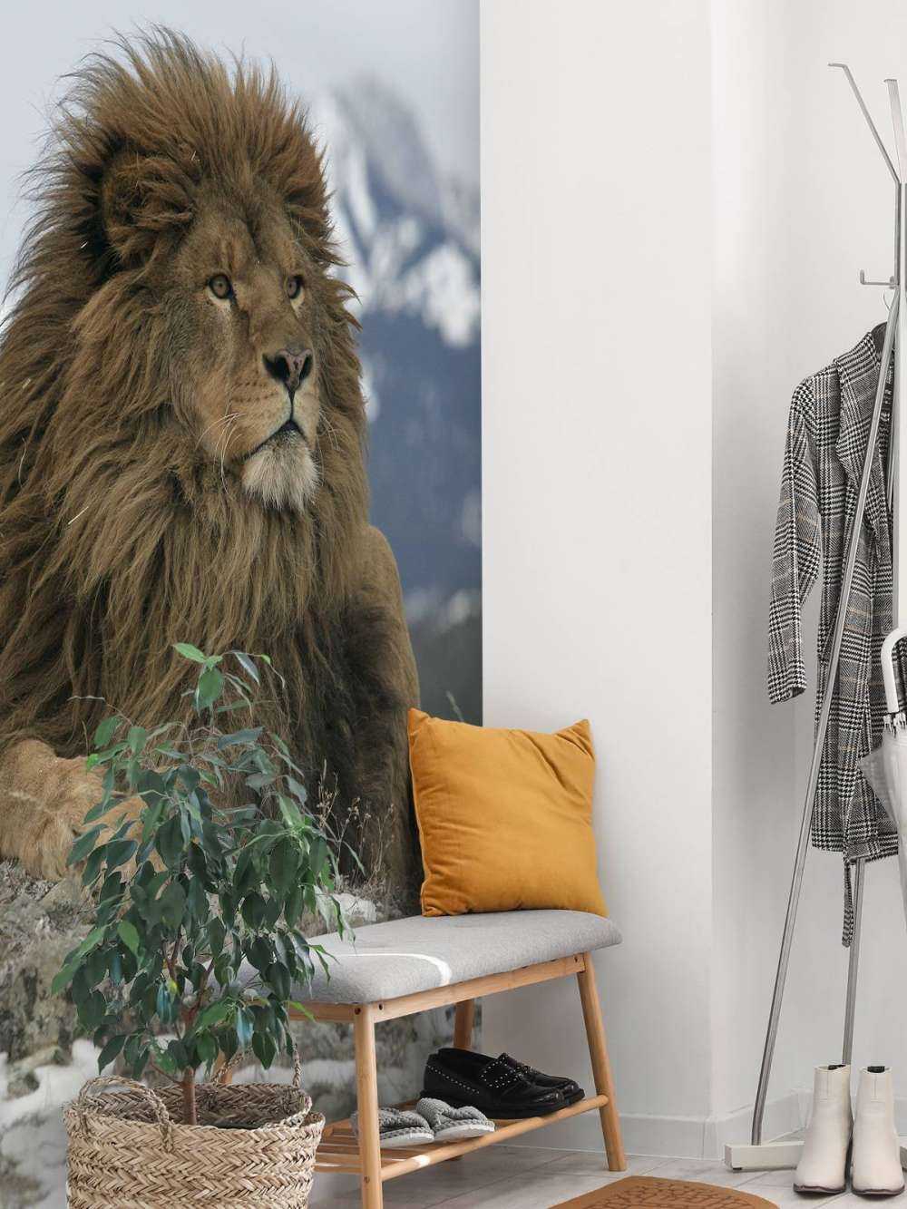 Barbary lion