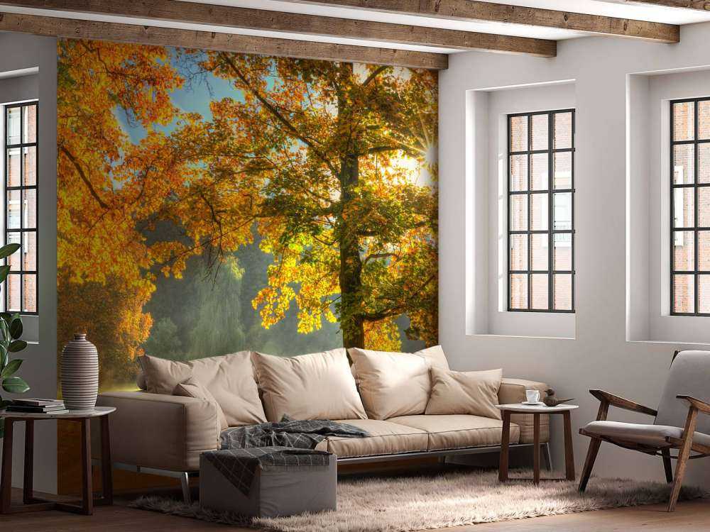 Tree in autumn colors