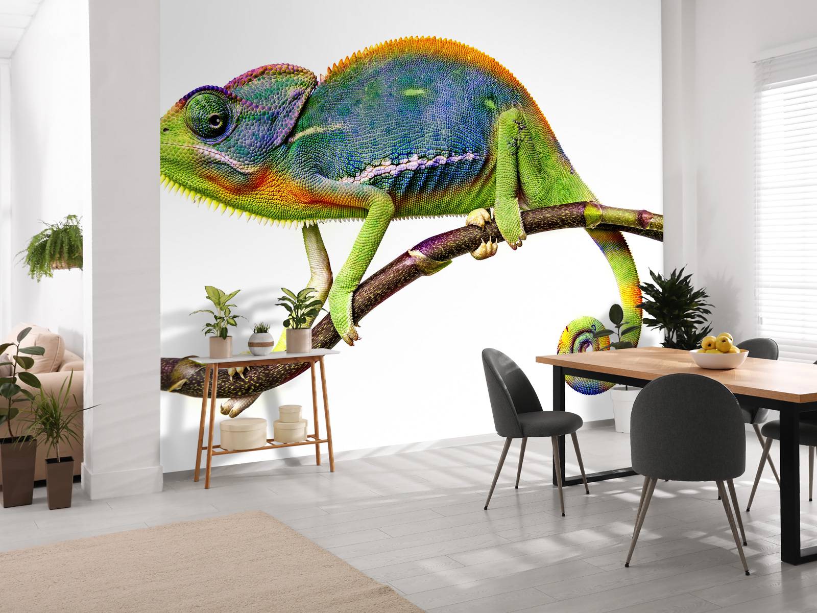 Chameleon