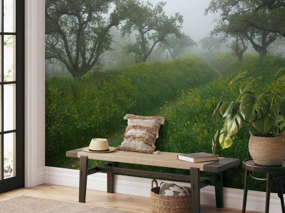 Pad door heuvels met gele bloemen