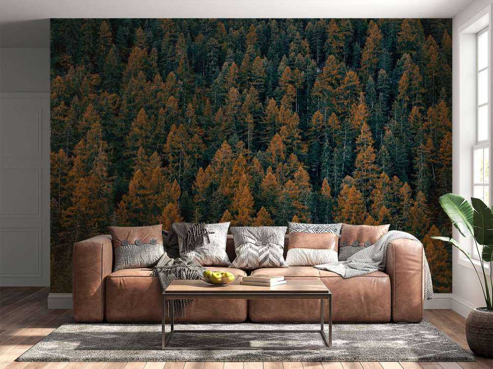 W05982