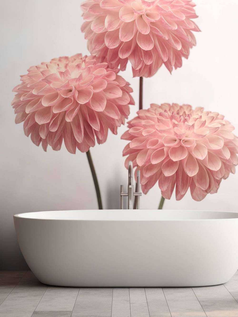Pink dahlias