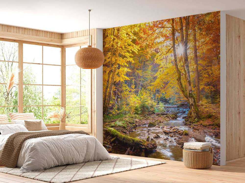 Autumn in wild forest