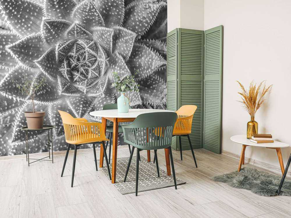 Succulent in black and white