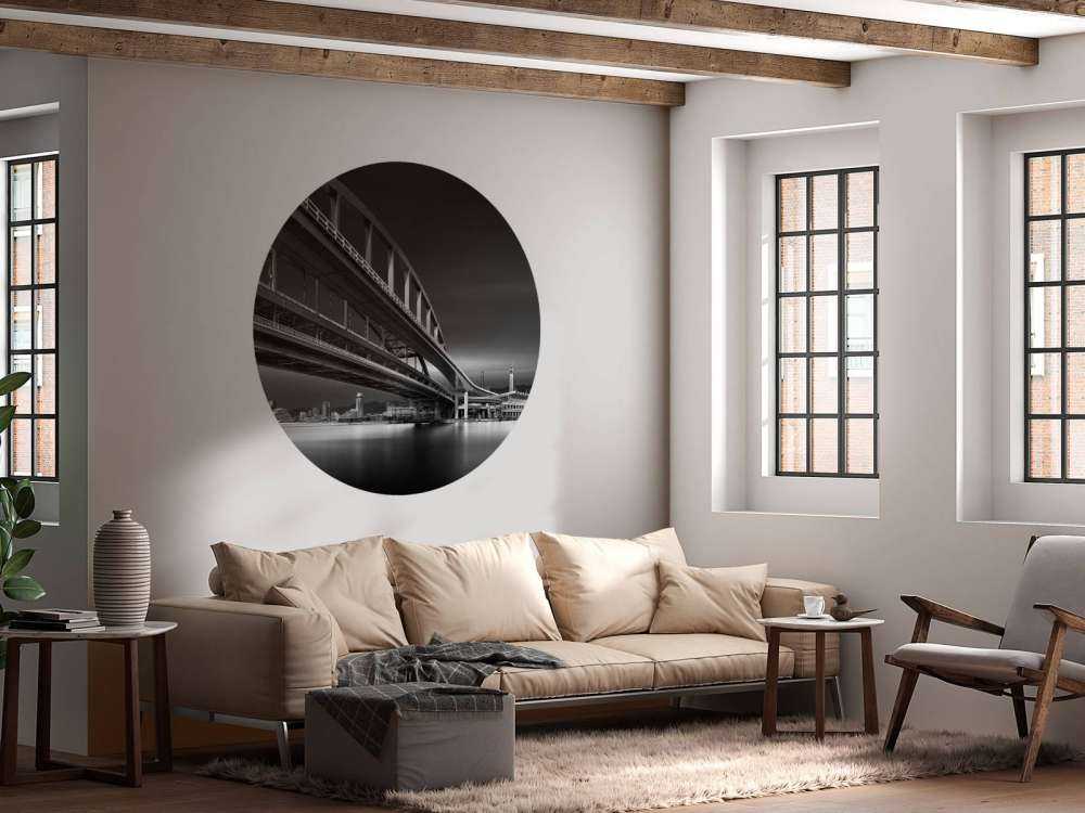 The Land of Coonectons 1: Over the Rainbow