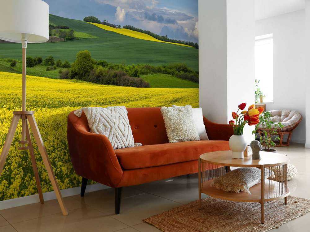 Rapeseed field