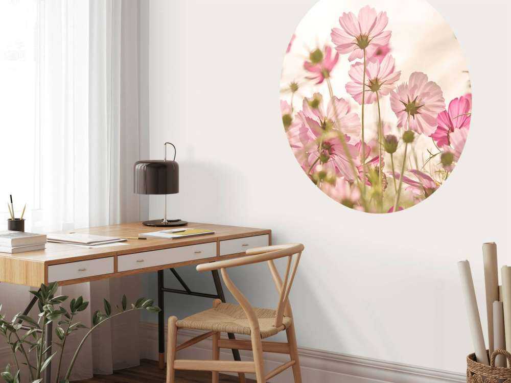 Beautiful flower garden