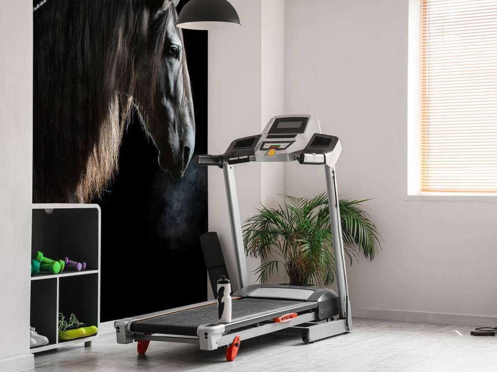 Mould with black background