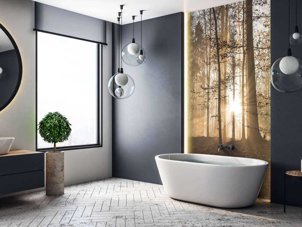 Sunshine in a misty forest