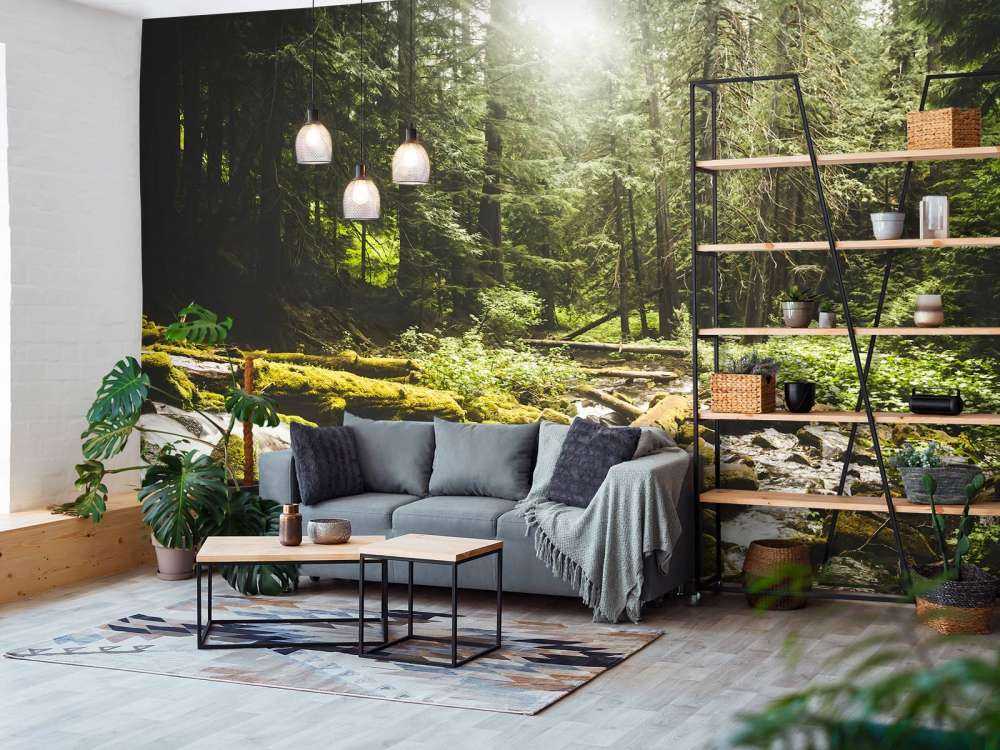 Waterfall in a forest