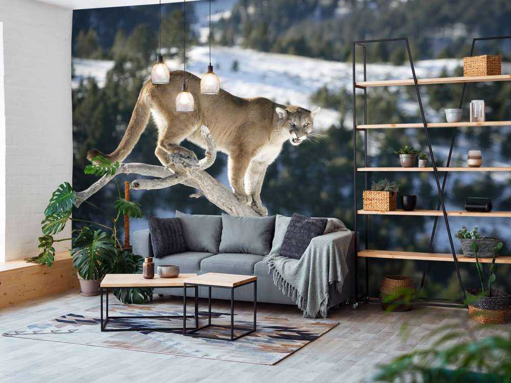 Mountain lion on a dead tree