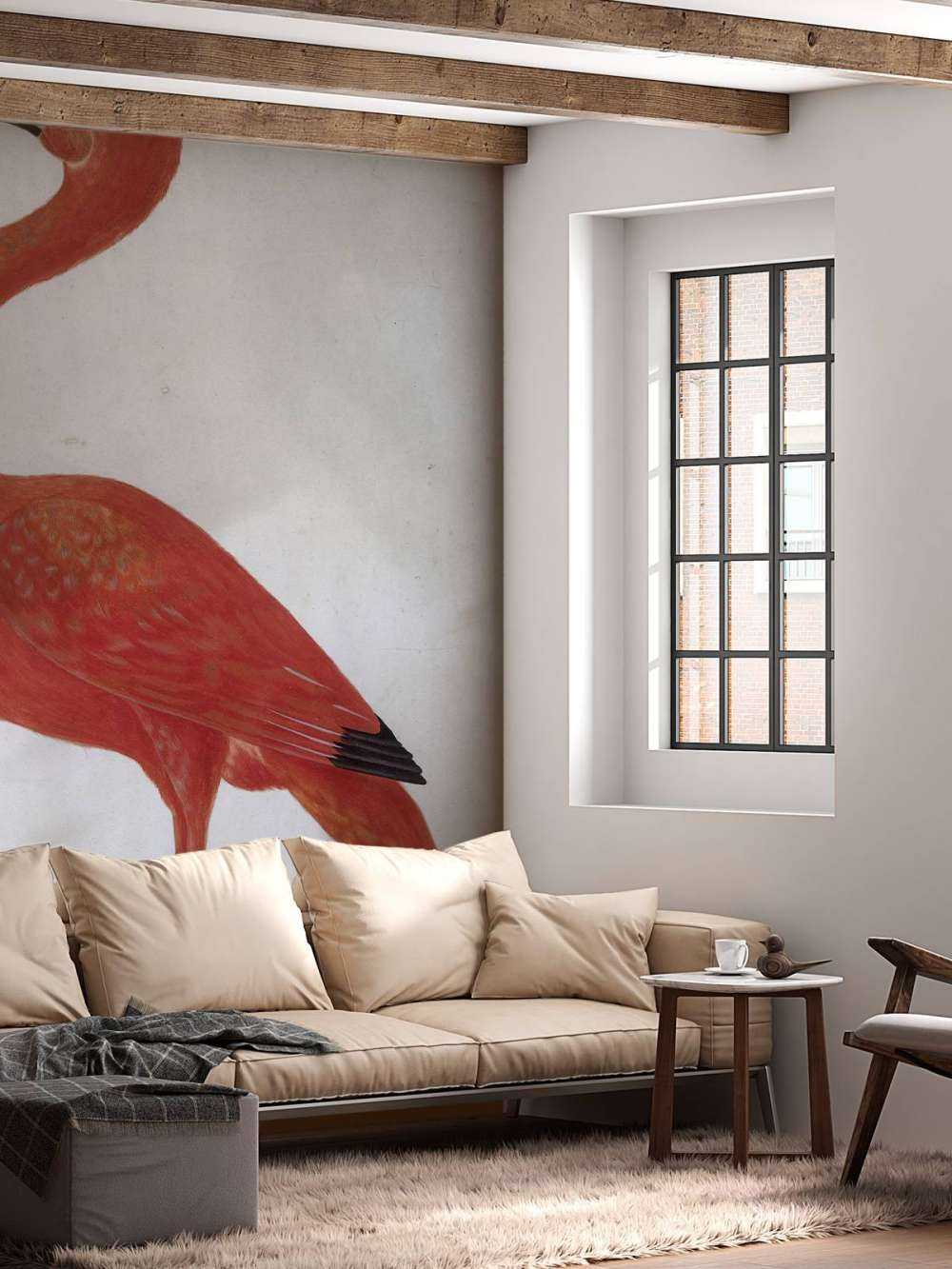 Red Ibis with an egg