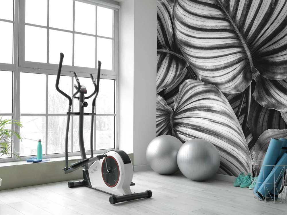 Plant with striped leaves