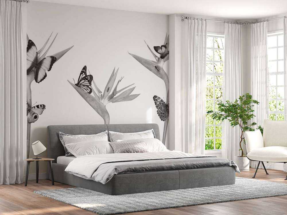 Butterflies on bird of paradise flowers