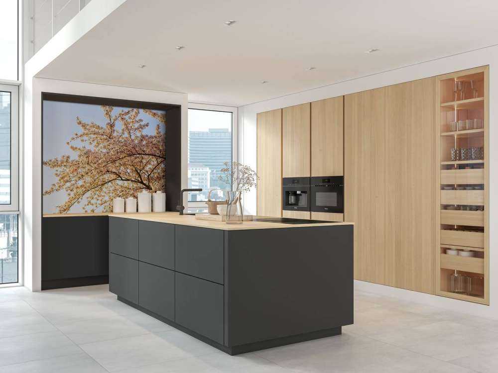 Blossom branch in bloom