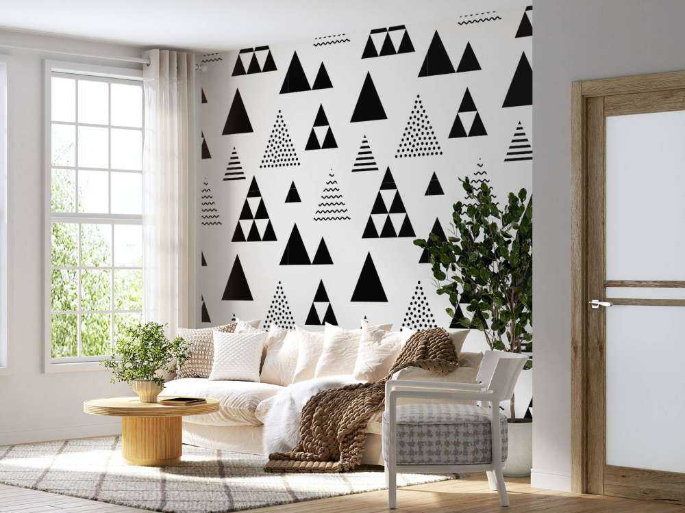 Triangles in black and white