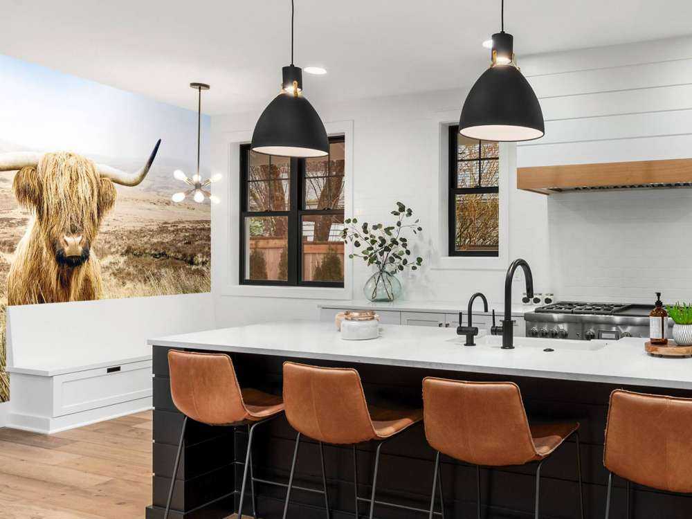 Scottish Highlander with reed