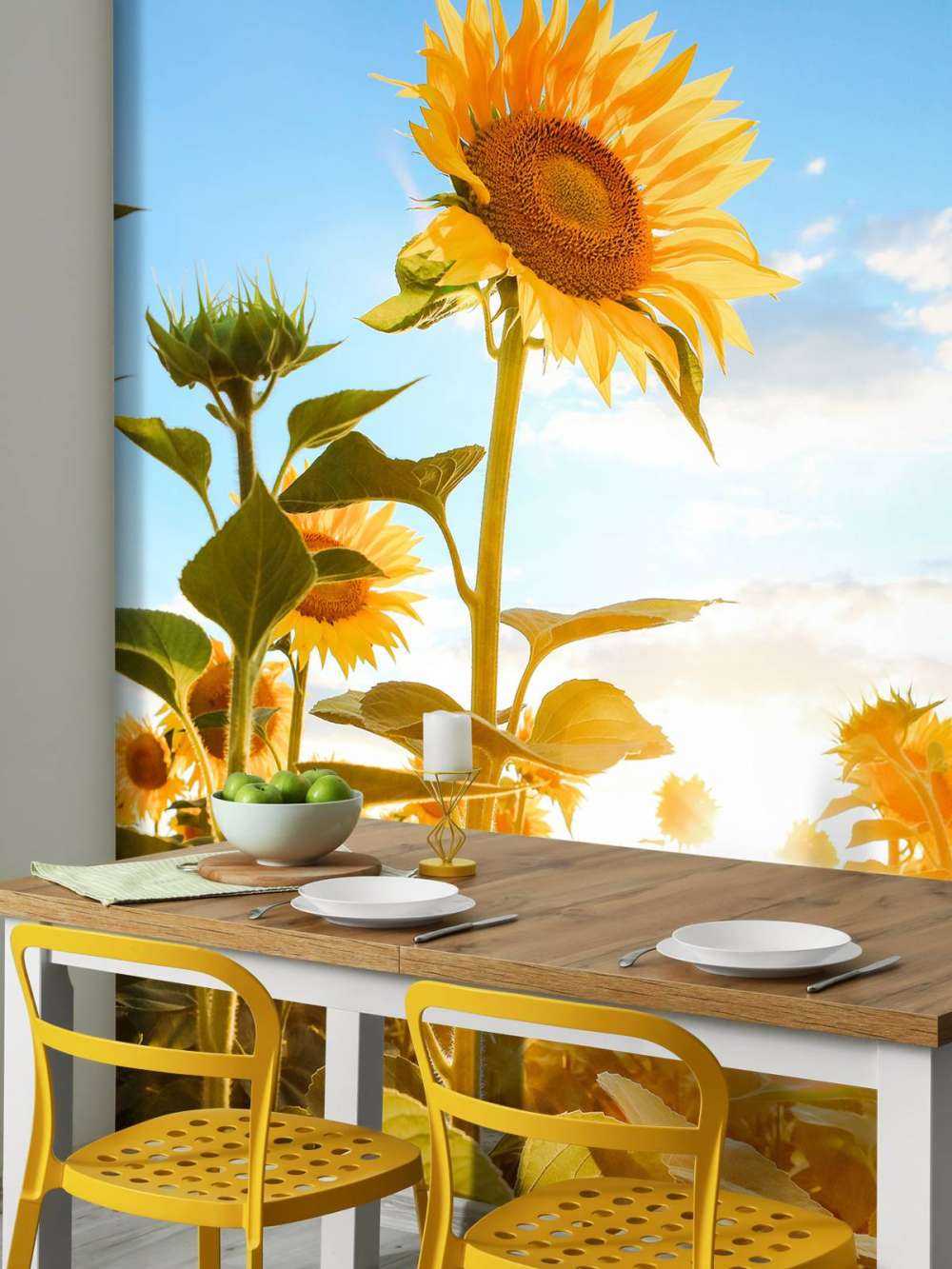 Sunflower with blue sky