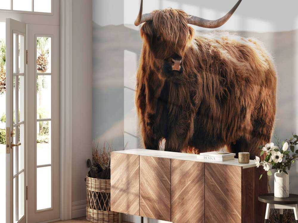 Scottish highlander on a hill