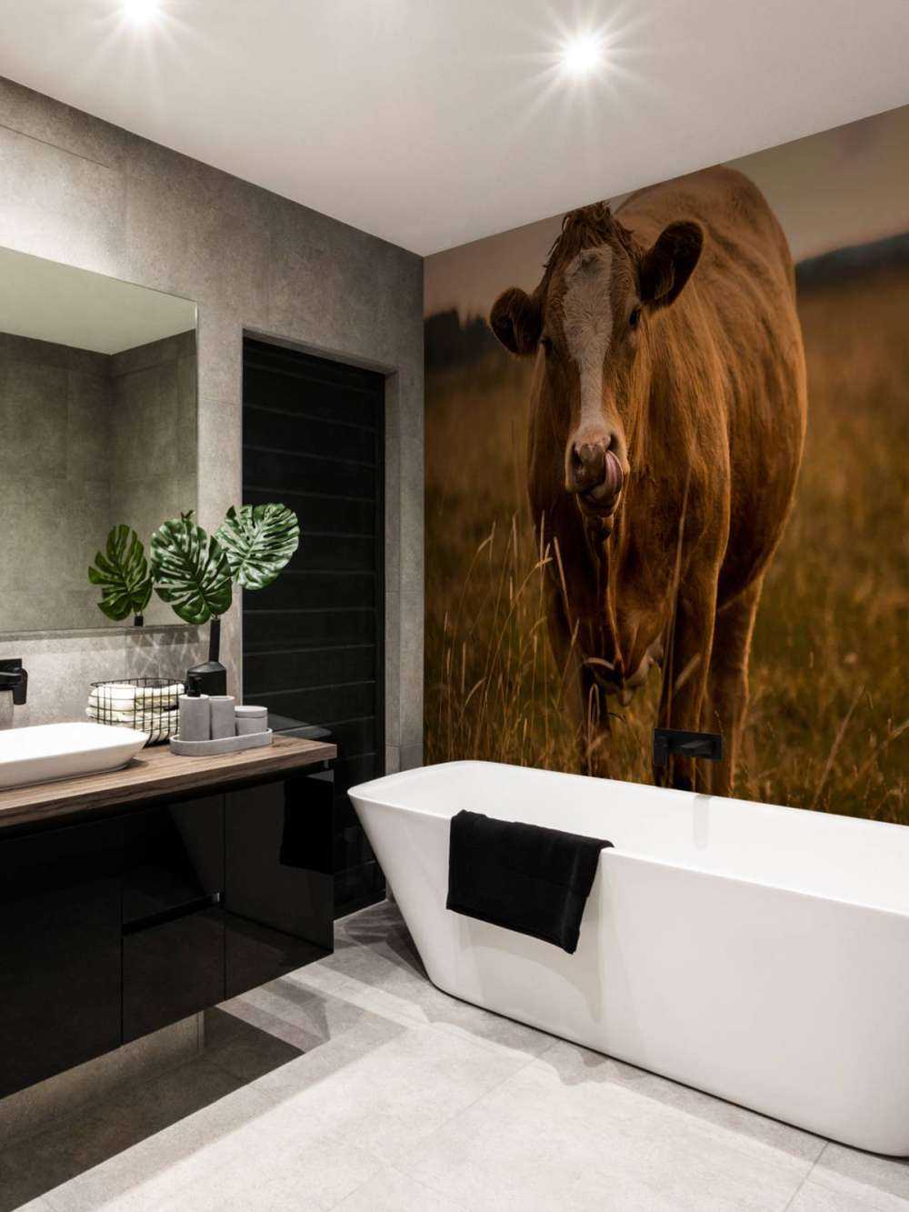 Cow with tongue in nose