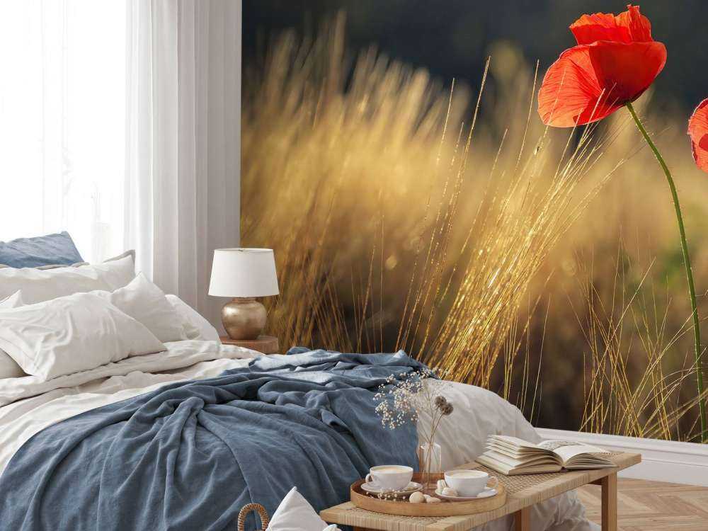 Poppies in a wheat field