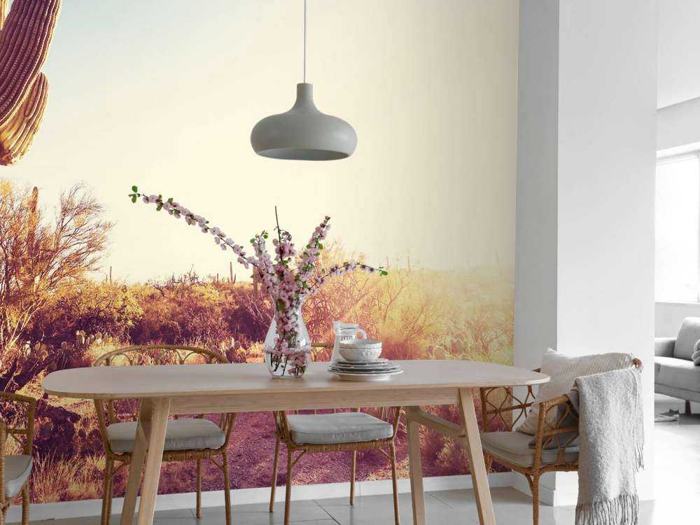 Cactus in the desert