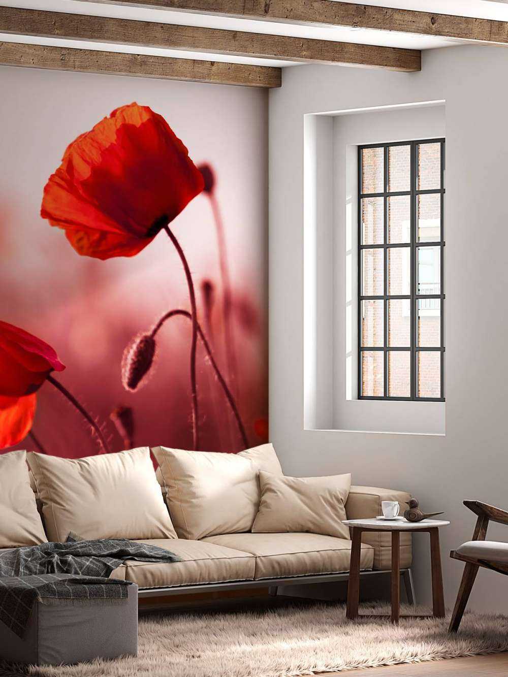 Poppies in the meadow