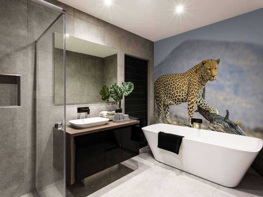 Leopard in Namibia