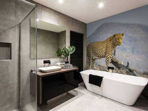 Leopard in Namibia