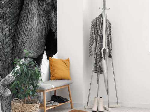 Photo wallpaper elephants