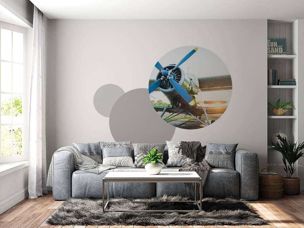 Small single-engine private plane