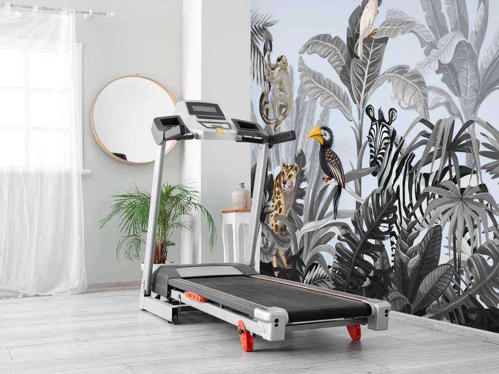 Jungle full of animals