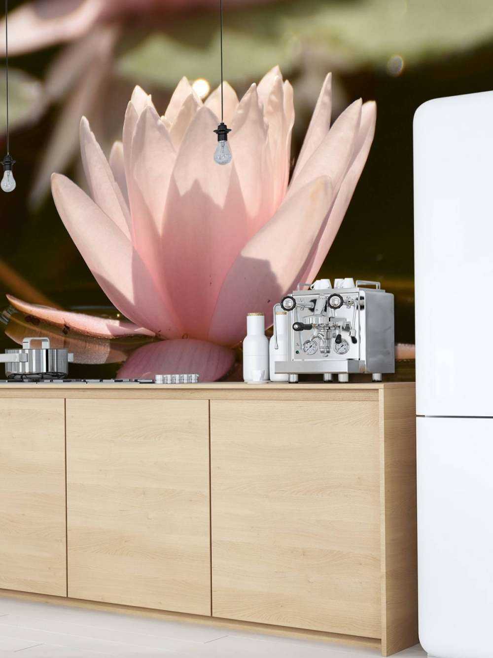 Lotus flower in water