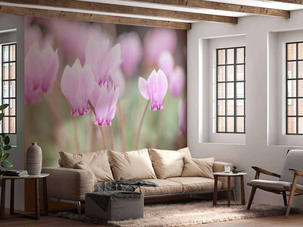 Beautiful ivy flowers