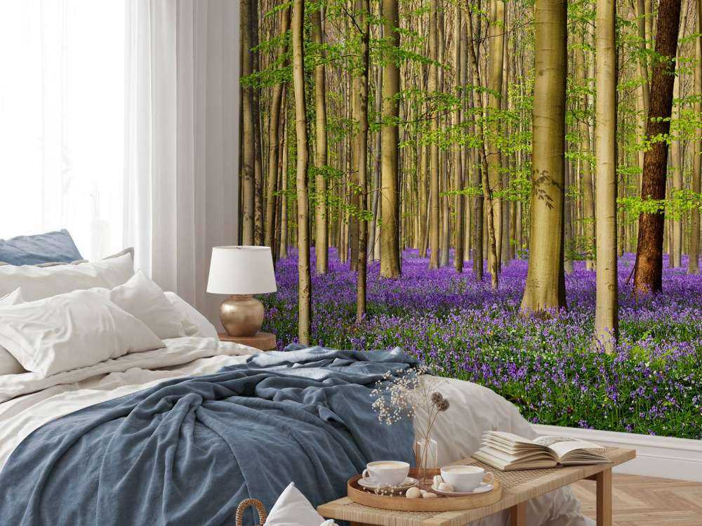 Forest with woodland hyacinths
