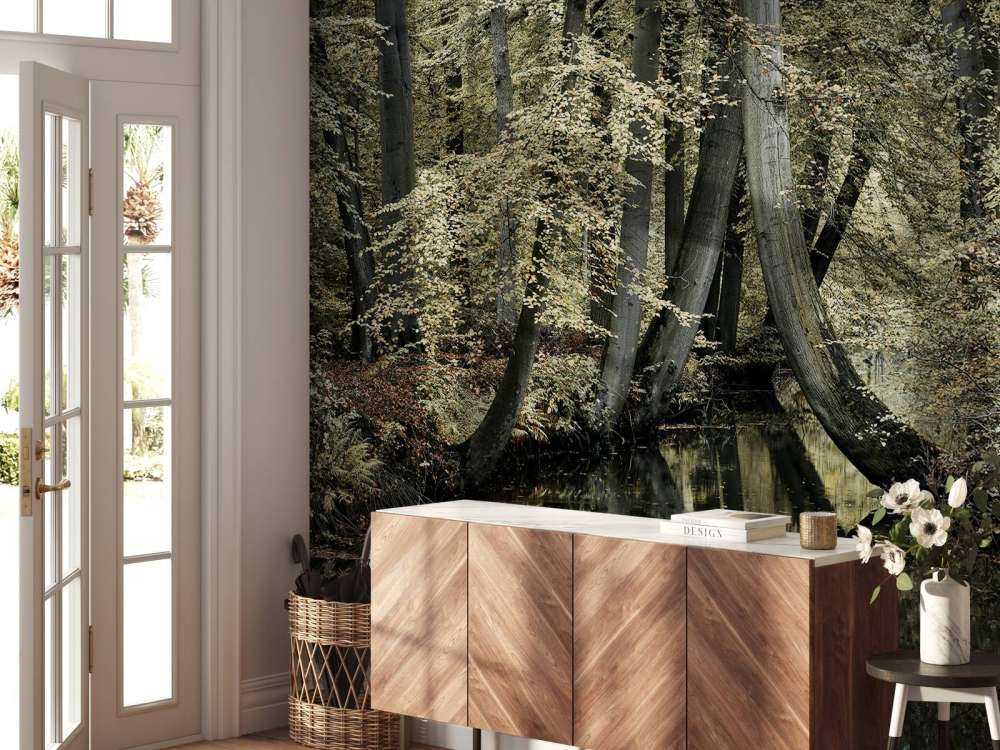 Stream with hanging trees