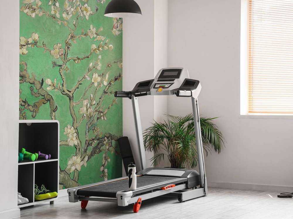 Spring Almond Blossom