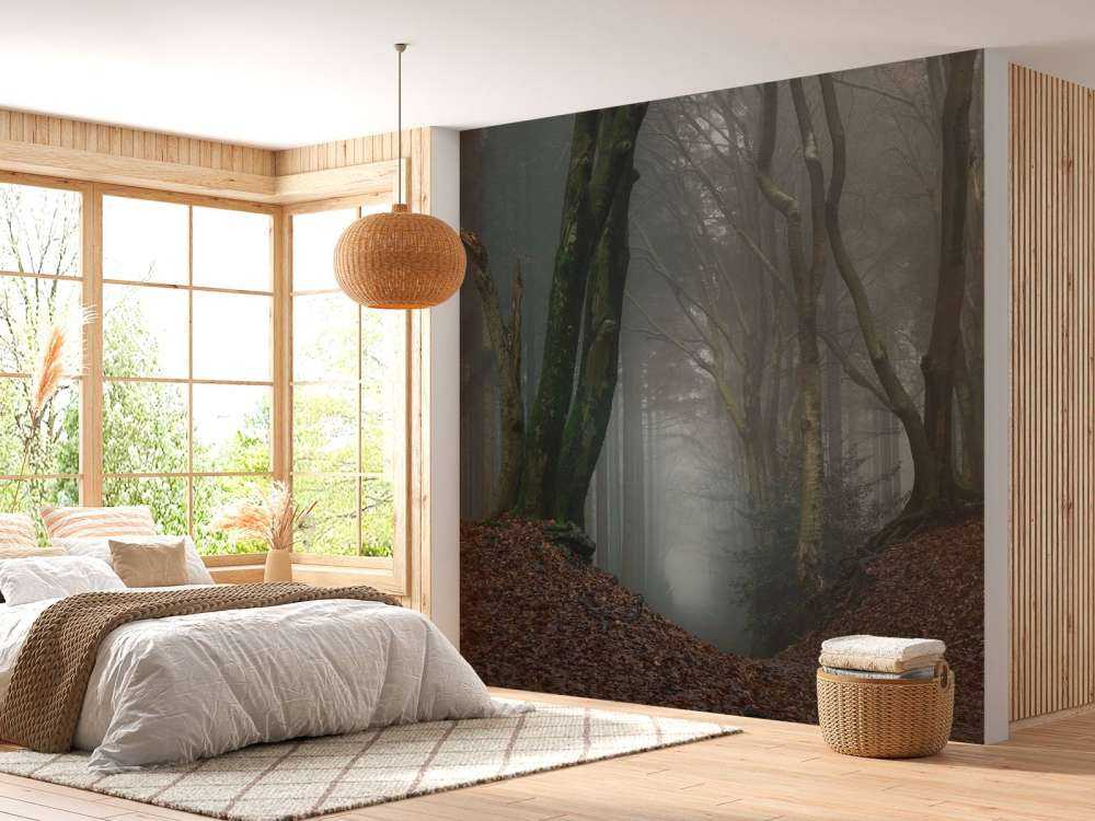 Path through mysterious forest