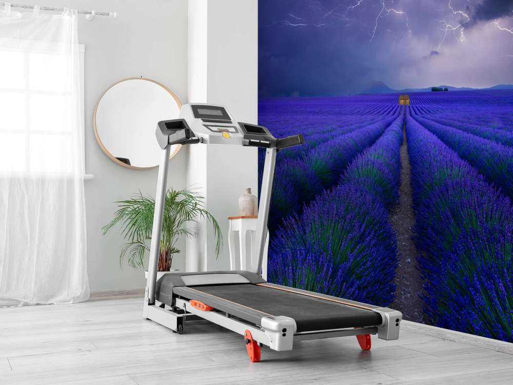 Wetter im Lavendelfeld