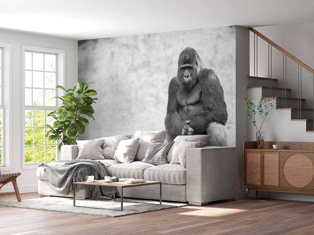 Large gorilla