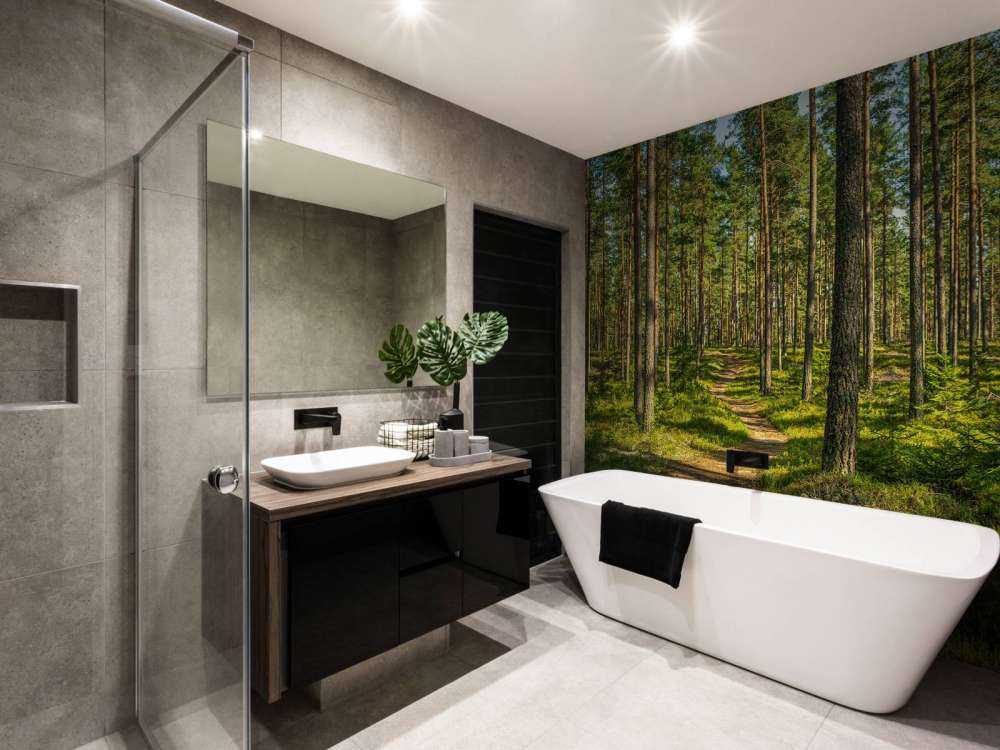 Footpath in pine forest