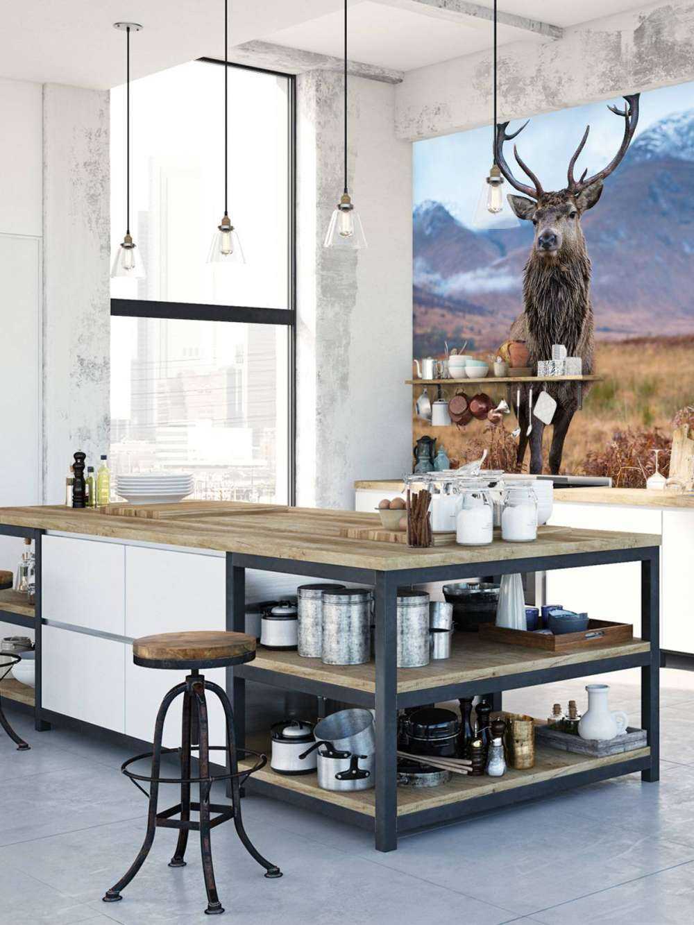 Deer in the mountains