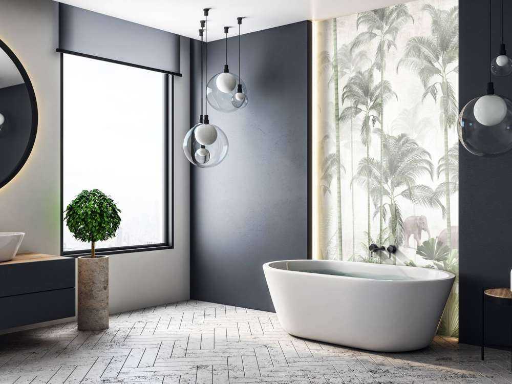 Dawn in the Wilderness