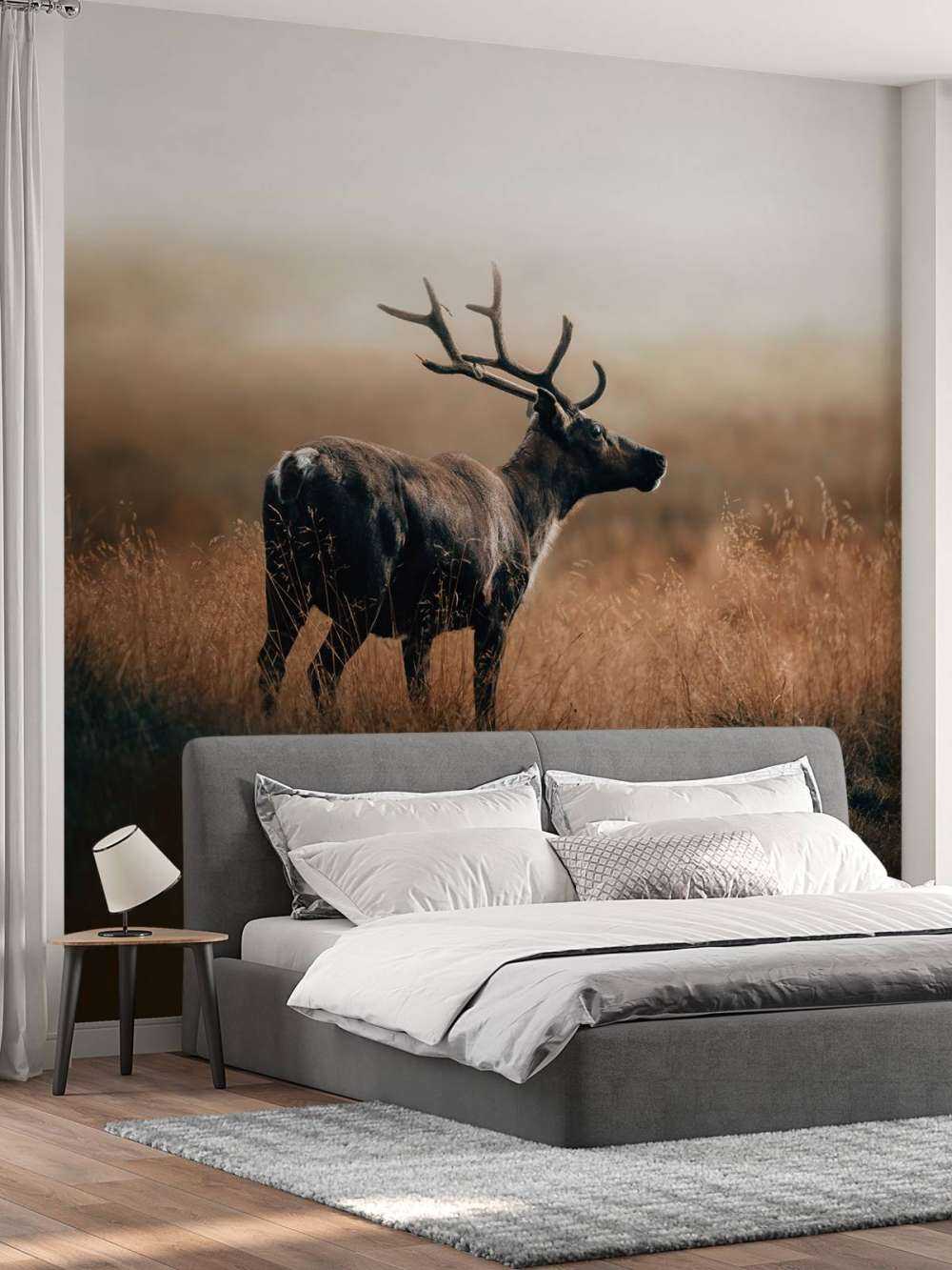 Reindeer in the high grass