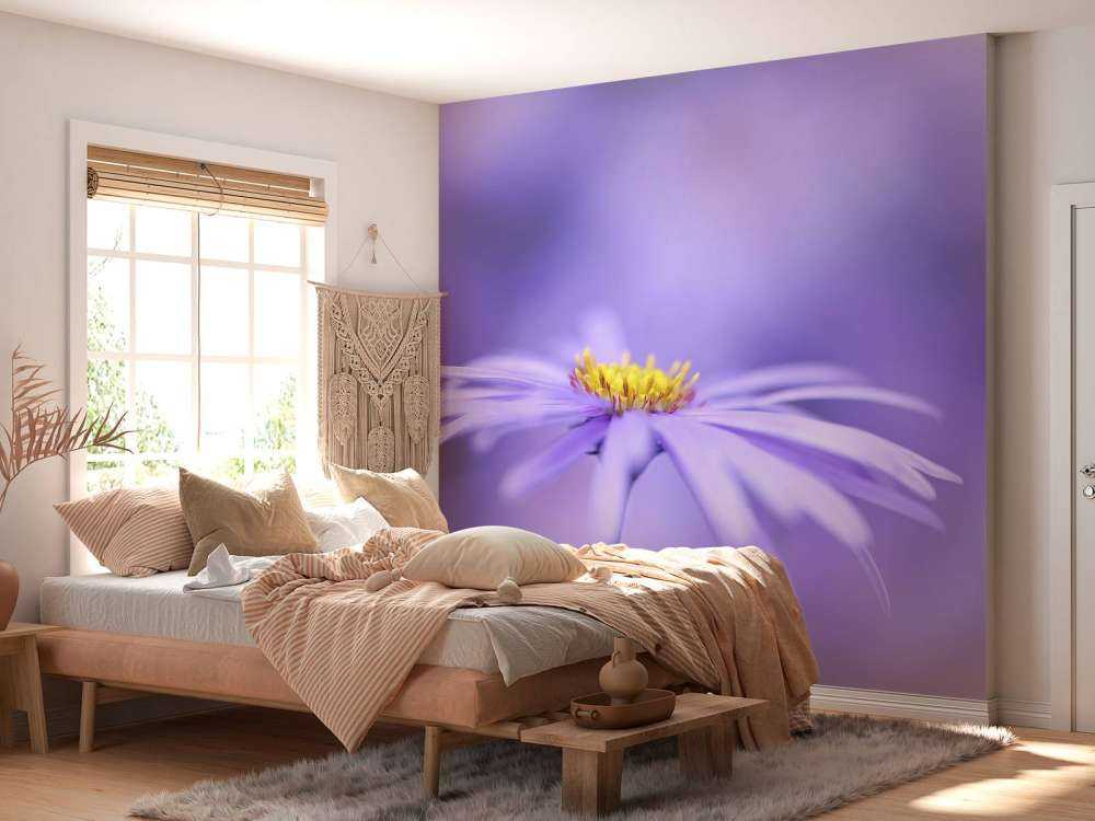 Purple Daisies