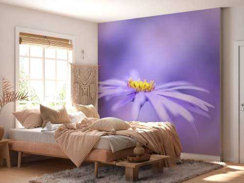 Purple Daisies