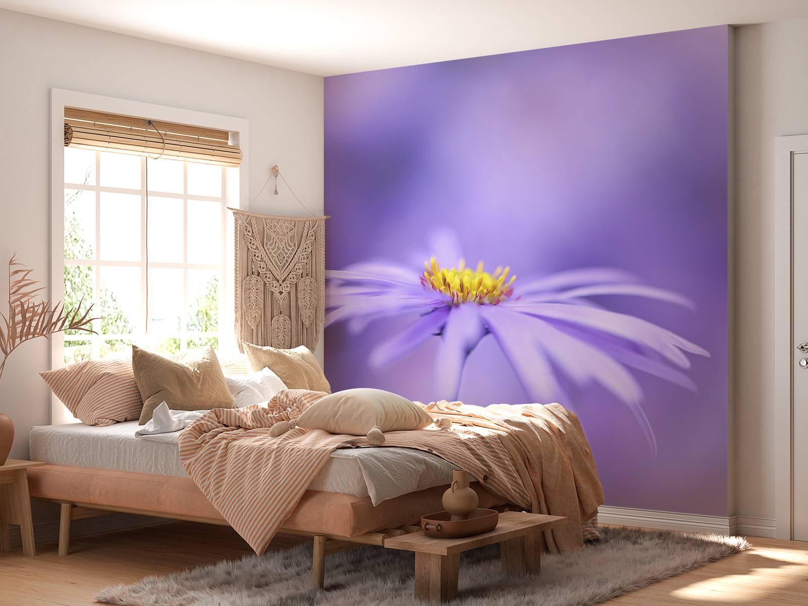 Purple Daisies