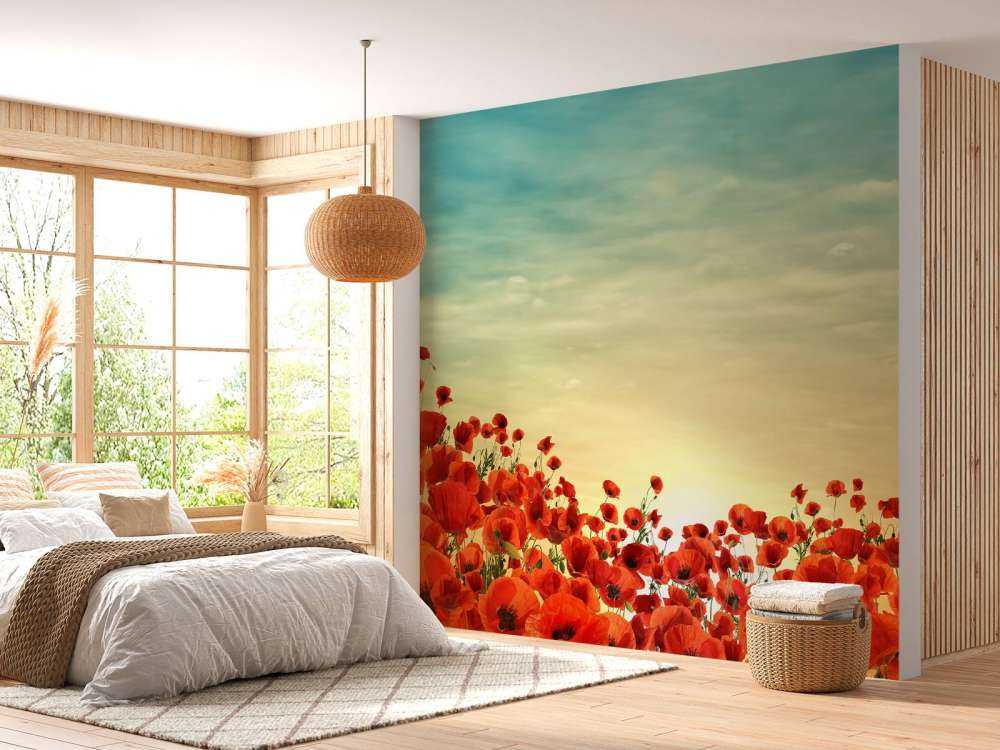 Poppies with sunset